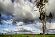 2023亞洲杯：揭秘一些主要球隊戰袍！.