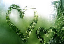 八戒体育：名記透露福克斯如欲離隊 馬刺 火箭 湖人 熱火等隊成潛在下家.