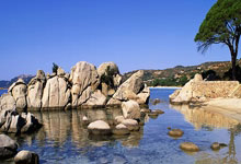 孙铭徽顶替郭艾伦进入CBA全明星赛南区首发名单.